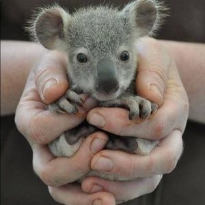 Meet your Posher, Jana